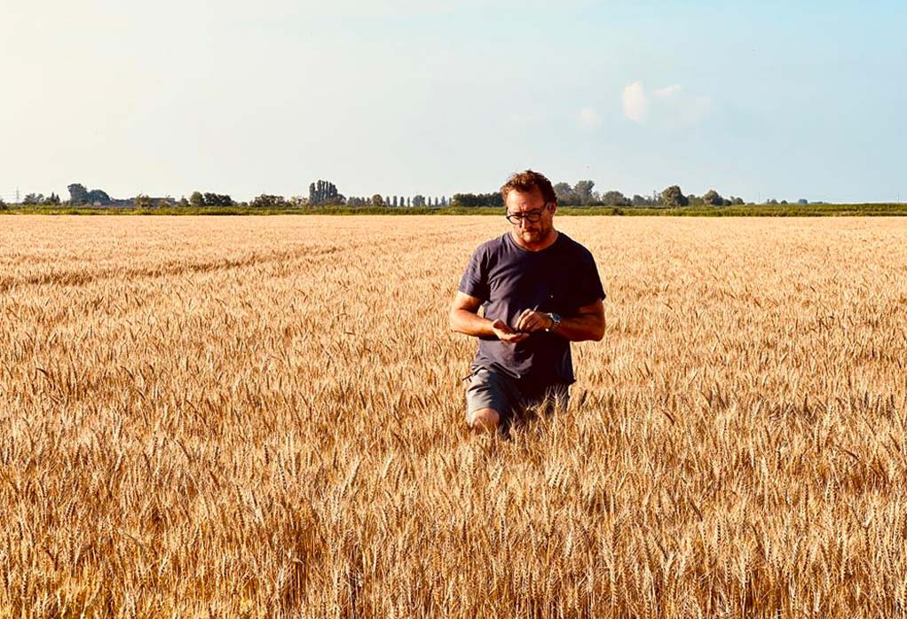 Agricoltura biologica