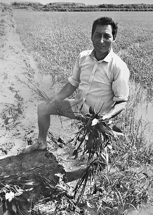 Azienda Biologica Lesca