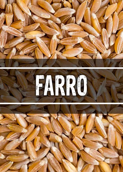 Farro