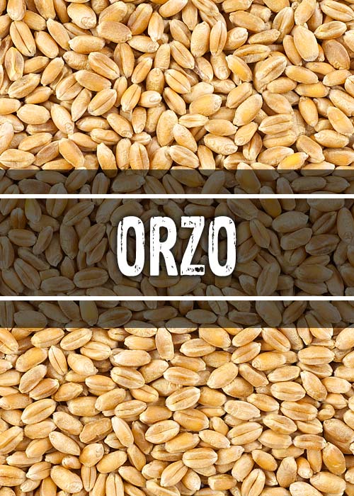 Orzo