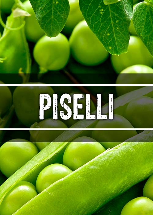 Piselli