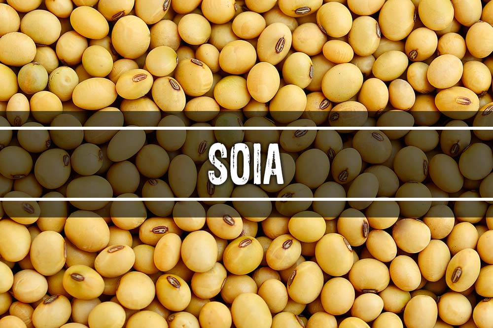 Legumi - Soia