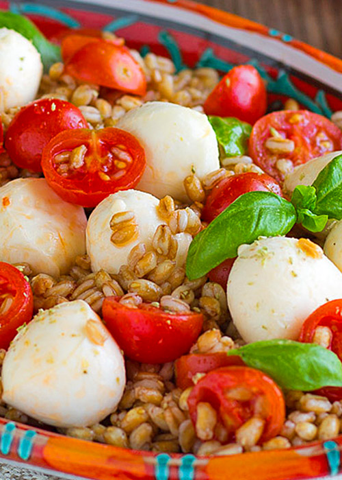 Insalata di farro caprese