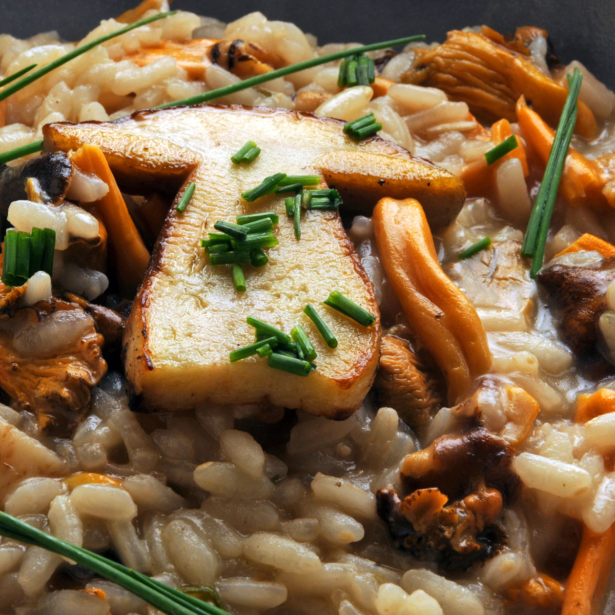 Risotto ai funghi porcini